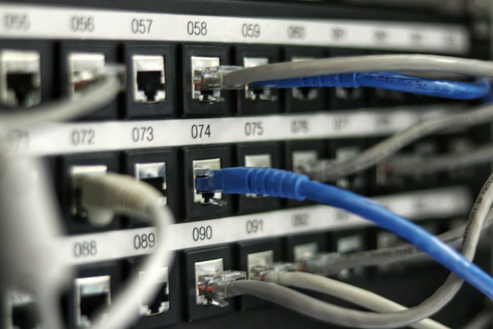Close-up of a patch panel with blue and grey network cables